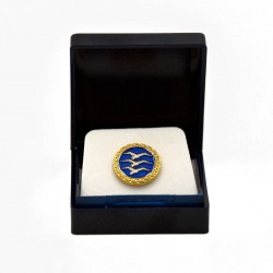 Gliding badges blue gold-plated